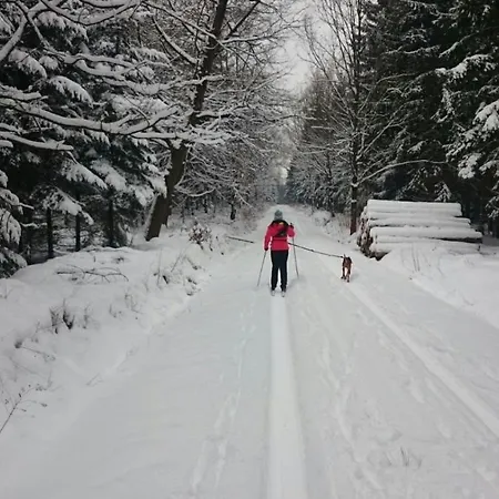 Urlaubsdomizil Am Toepfer - Ferienwohnungen In Olbersdorf Buitenkant foto