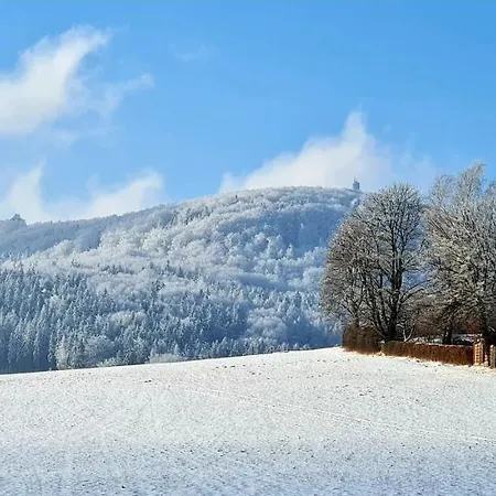 Urlaubsdomizil Am Toepfer - Ferienwohnungen In Olbersdorf Buitenkant foto