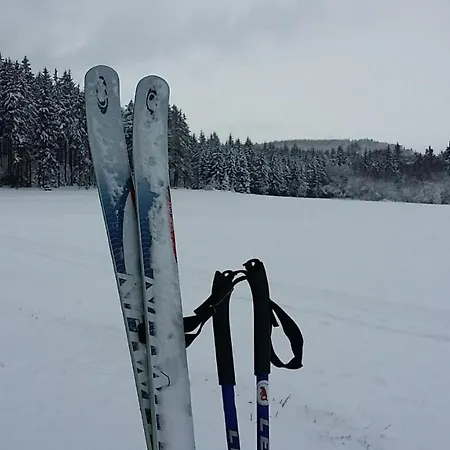 Urlaubsdomizil Am Toepfer - Ferienwohnungen In Olbersdorf Buitenkant foto