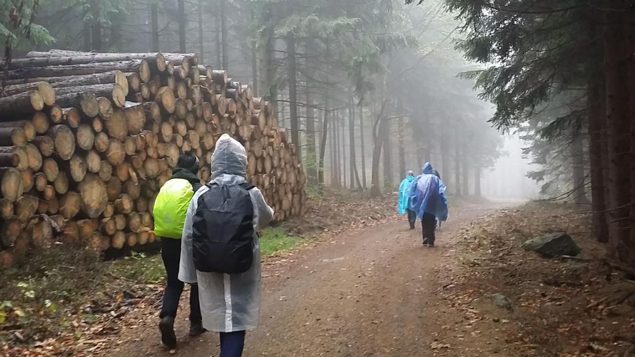 Urlaubsdomizil Am Toepfer - In Lejlighed Olbersdorf
