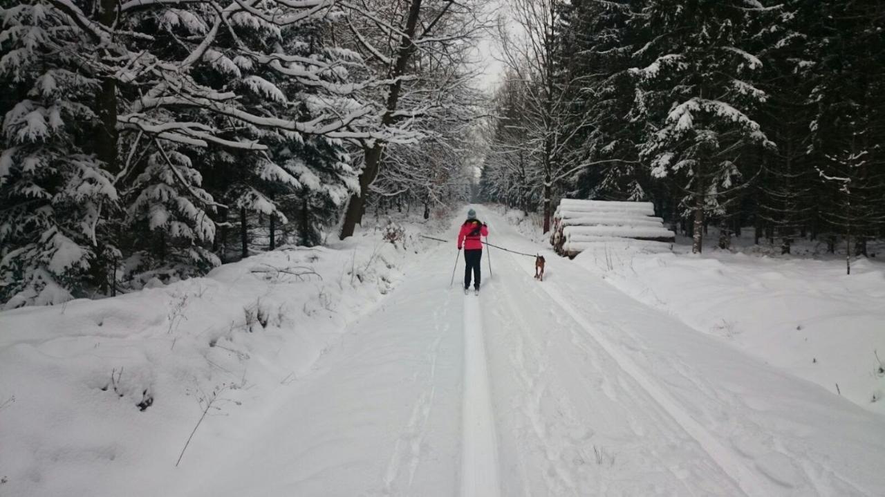 Urlaubsdomizil Am Toepfer - In Lejlighed Olbersdorf