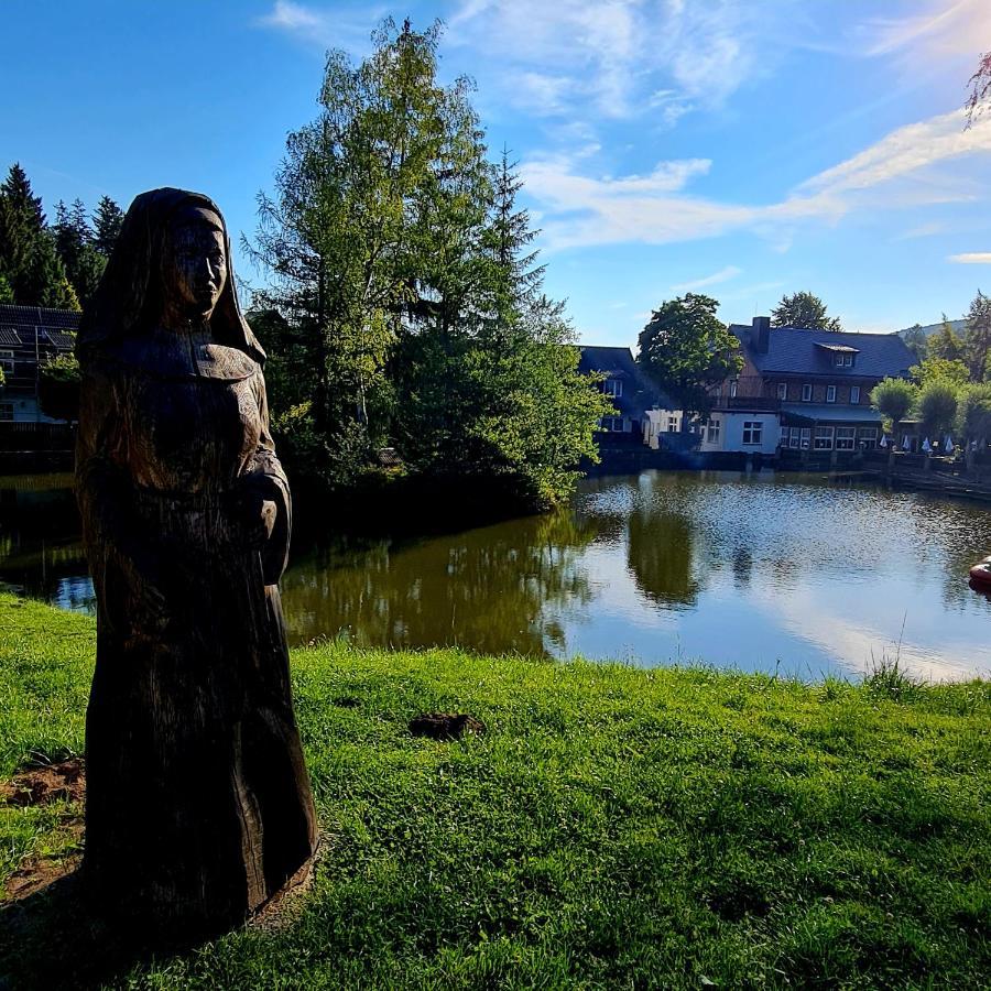 Urlaubsdomizil Am Toepfer - In Lejlighed Olbersdorf