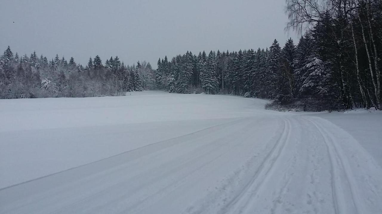 Urlaubsdomizil Am Toepfer - In Lejlighed *