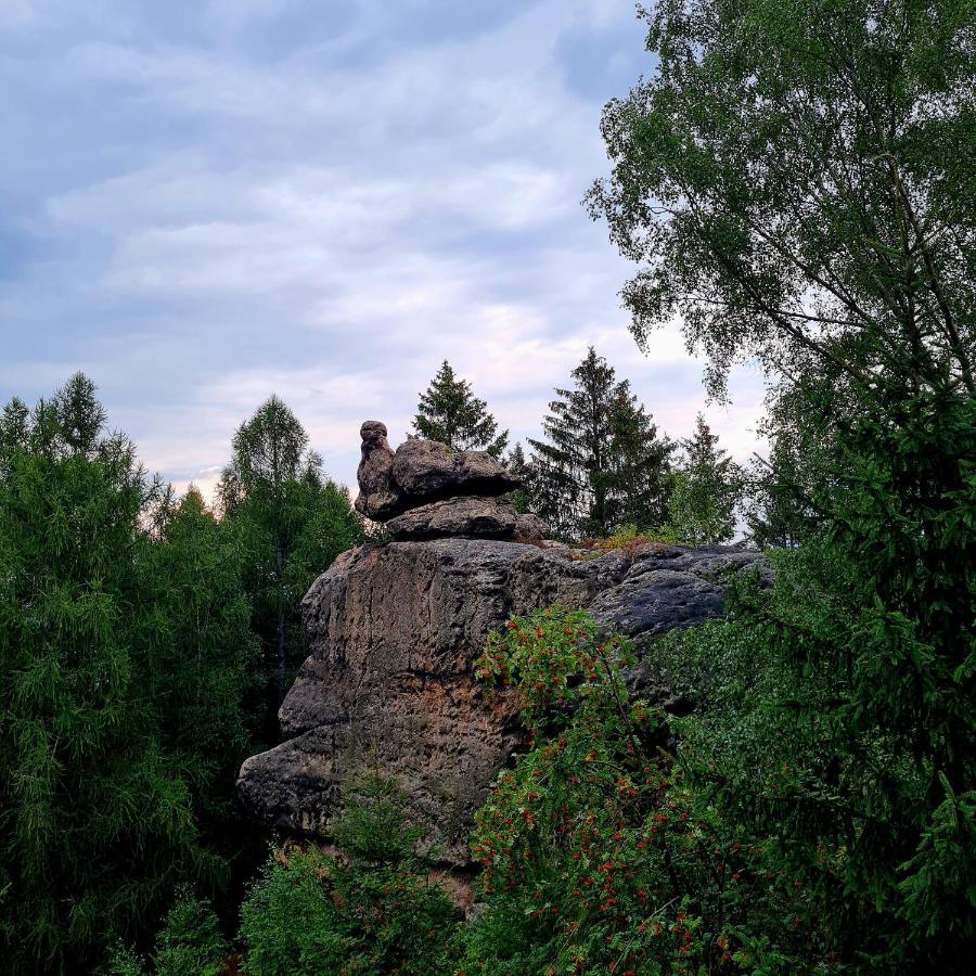 Urlaubsdomizil Am Toepfer - In Lejlighed Olbersdorf